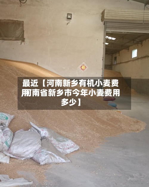 最近【河南新乡有机小麦费用
,河南省新乡市今年小麦费用
多少】-第2张图片