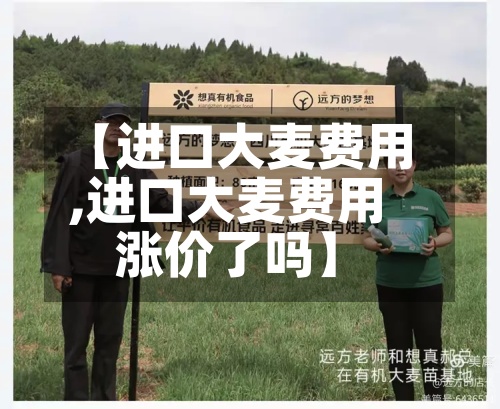 【进口大麦费用
,进口大麦费用
涨价了吗】-第2张图片