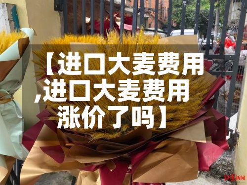 【进口大麦费用,进口大麦费用涨价了吗】