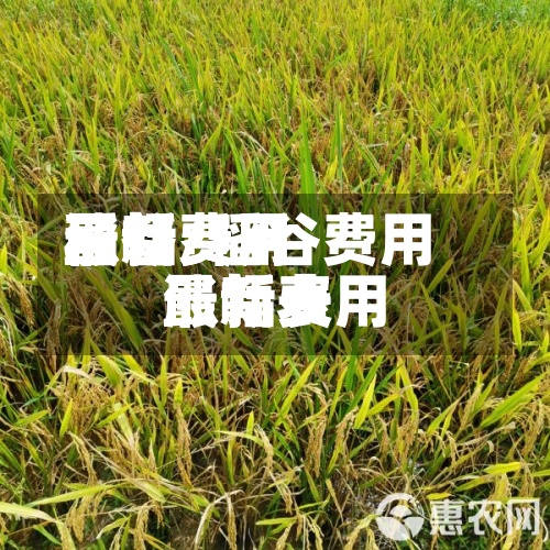 稻谷费用
最新费用
涨幅/稻谷费用
最新费用
涨幅表-第2张图片