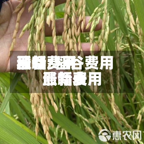 稻谷费用最新费用涨幅/稻谷费用最新费用涨幅表
