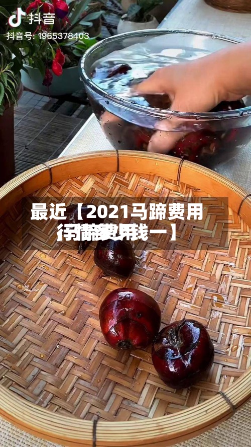 最近【2021马蹄费用,马蹄费用行情多少钱一】