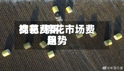 棉花费用交易/棉花市场费用趋势-第2张图片