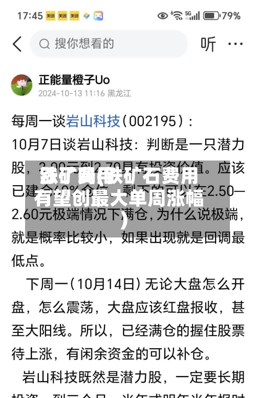 铁矿费用涨了吗(铁矿石费用有望创最大单周涨幅)-第2张图片