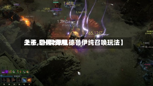 关于【H钢费用上涨,暗黑2单机德鲁伊纯召唤玩法】