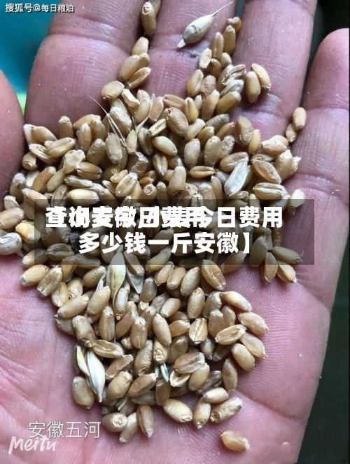 【小麦今日费用查询安徽,小麦今日费用多少钱一斤安徽】