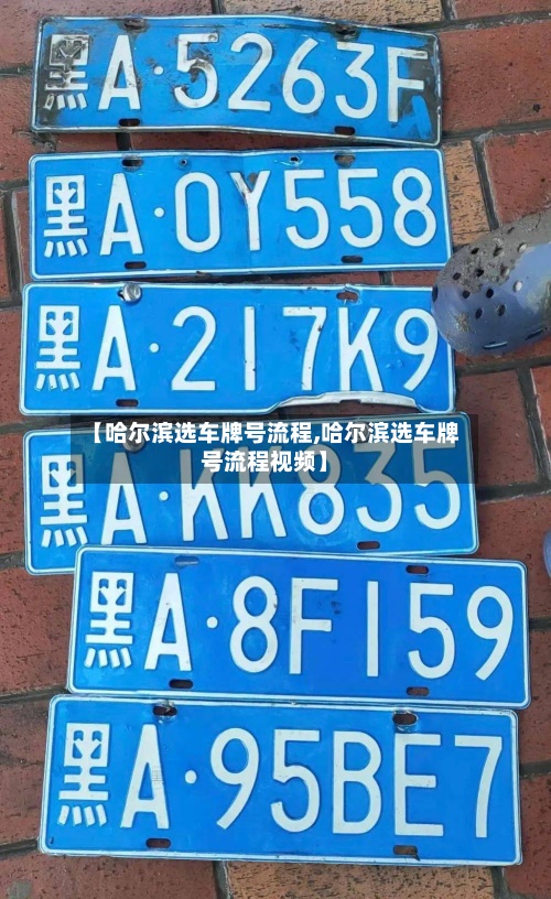 【哈尔滨选车牌号流程,哈尔滨选车牌号流程视频】-第3张图片