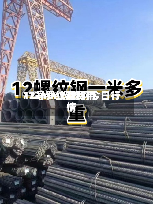 12号罗纹钢费用/12mm螺纹钢今日行情