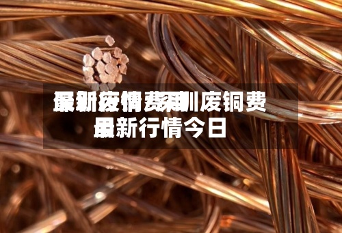 深圳废铜费用
最新行情/深圳废铜费用
最新行情今日-第2张图片