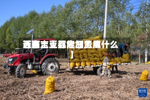 近来
【西吉土豆今日费用
西吉土豆都能加工成什么】-第3张图片