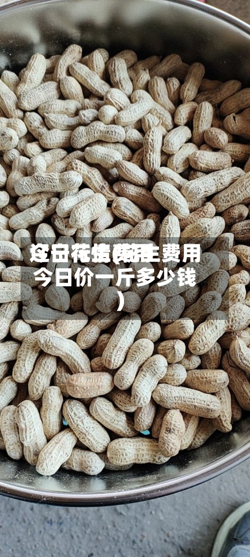 辽宁花生费用今日行情(花生费用今日价一斤多少钱)