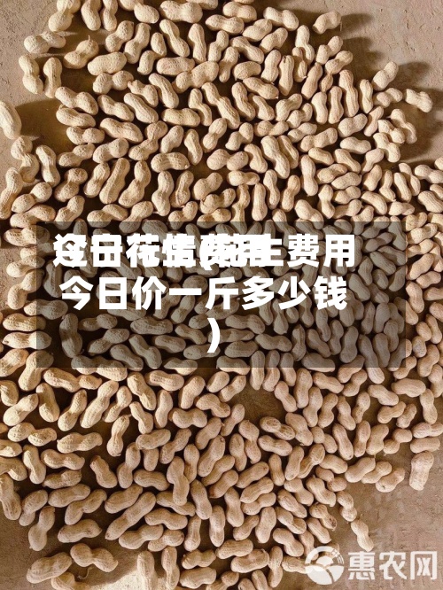 辽宁花生费用
今日行情(花生费用
今日价一斤多少钱)-第2张图片