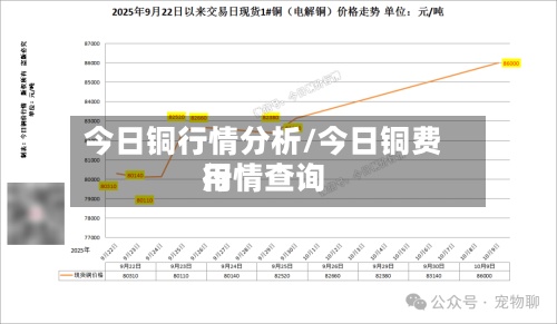 今日铜行情分析/今日铜费用行情查询