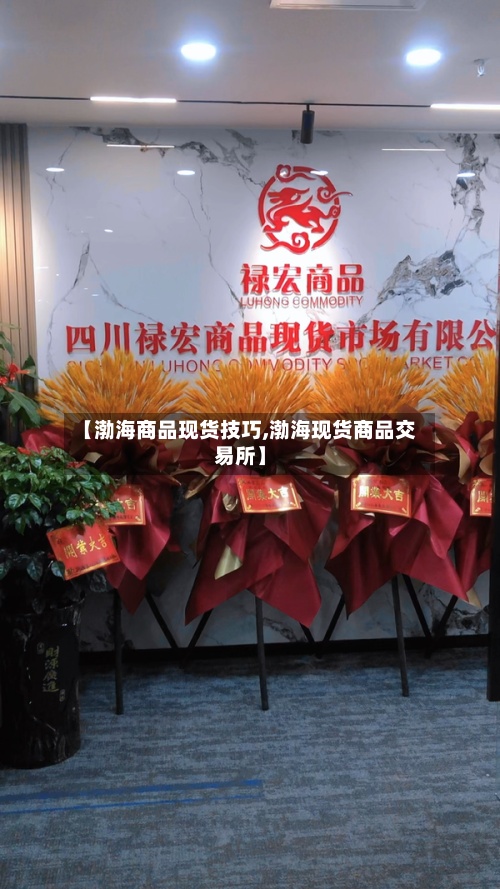 【渤海商品现货技巧,渤海现货商品交易所】-第2张图片