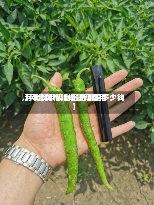 【河北冀州辣椒最新费用,河北辣椒最出名是哪里多少钱】