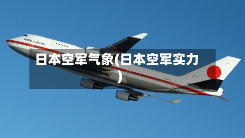 日本空军气象(日本空军实力)-第2张图片
