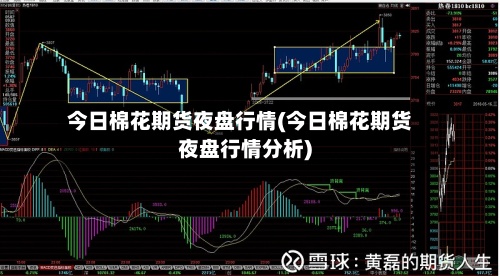 今日棉花期货夜盘行情(今日棉花期货夜盘行情分析)-第2张图片