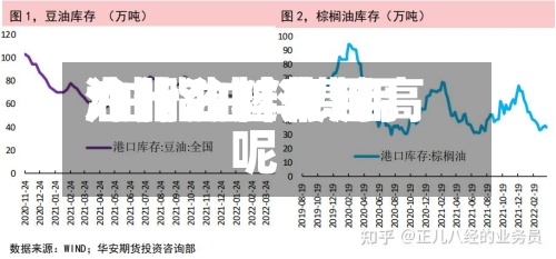 油脂油料费用/油脂油料费用为什么越来越高呢-第3张图片