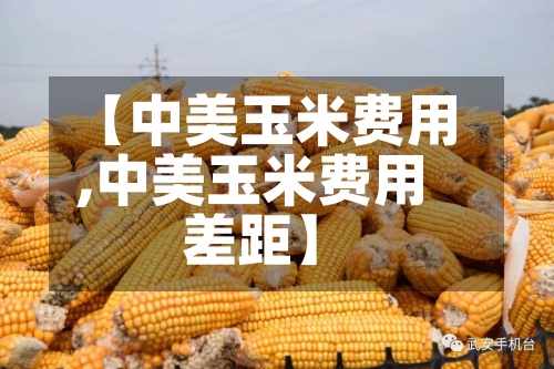 【中美玉米费用,中美玉米费用差距】