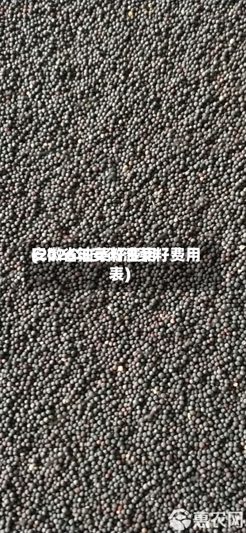 安徽省油菜籽费用(2026年安徽油菜籽费用表)