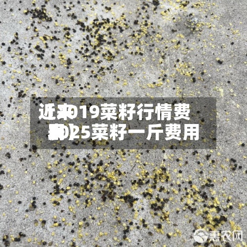 近来【2019菜籽行情费用2025菜籽一斤费用表】