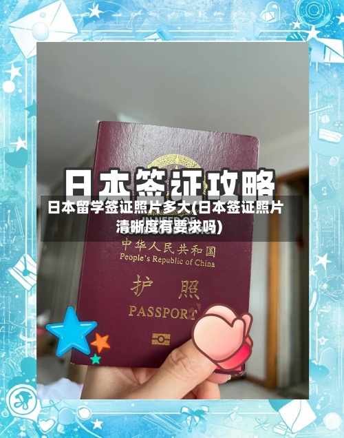 日本留学签证照片多大(日本签证照片清晰度有要求吗)-第3张图片