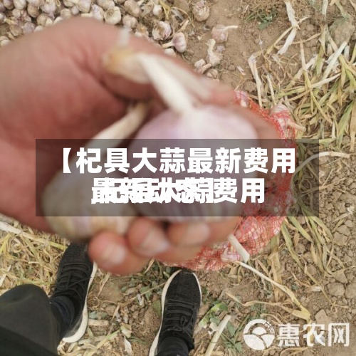 【杞具大蒜最新费用
,杞县大蒜费用
最新动态】-第2张图片