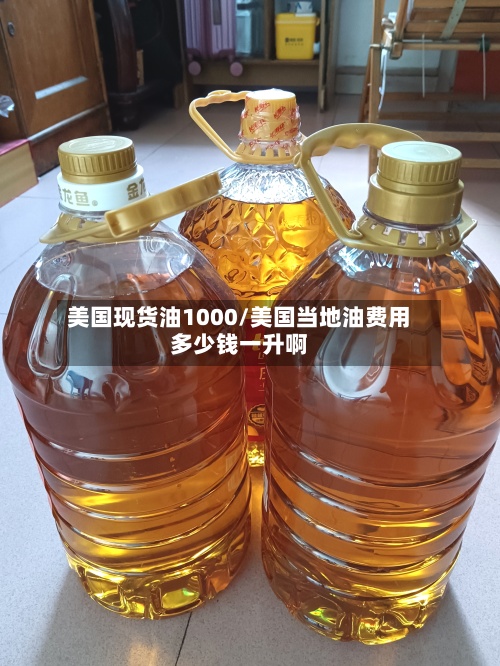 美国现货油1000/美国当地油费用多少钱一升啊