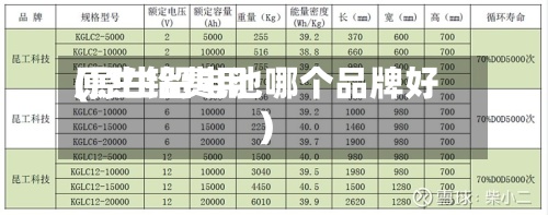 原生铅费用
(原生铅电池哪个品牌好)-第2张图片