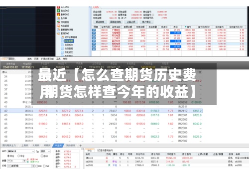 最近【怎么查期货历史费用,期货怎样查今年的收益】-第2张图片