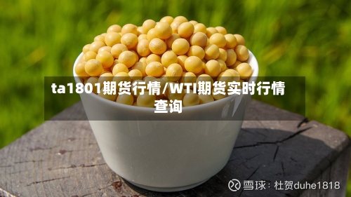 ta1801期货行情/WTI期货实时行情查询
