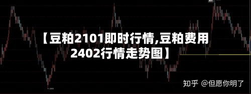 【豆粕2101即时行情,豆粕费用2402行情走势图】