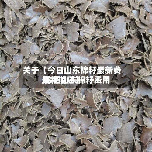 关于【今日山东棉籽最新费用,今日山东棉籽费用最新消息】-第3张图片