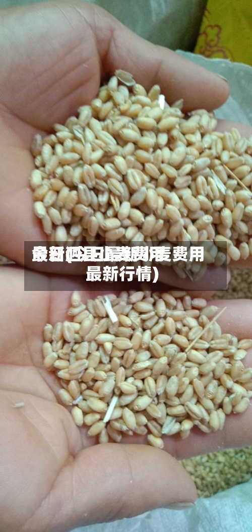 今日泗县小麦费用
最新(今日最新小麦费用
最新行情)-第2张图片