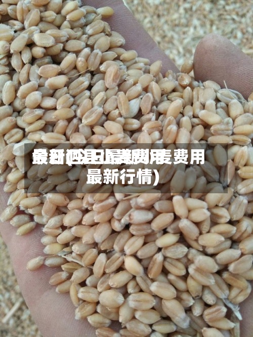 今日泗县小麦费用最新(今日最新小麦费用最新行情)