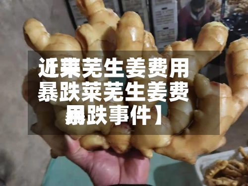 近来
【莱芜生姜费用
暴跌莱芜生姜费用
暴跌事件】-第2张图片