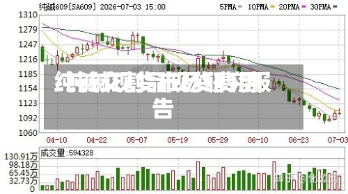 纯碱交割品现货费用/纯碱现货市场研究报告
