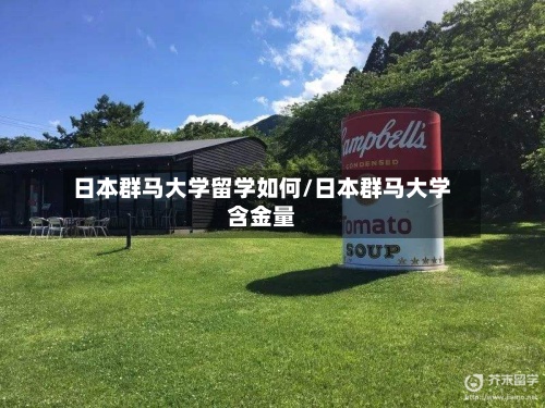 日本群马大学留学如何/日本群马大学含金量-第3张图片