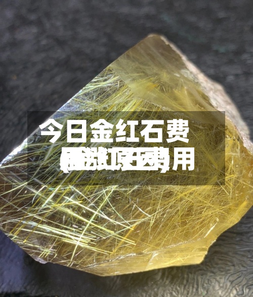 今日金红石费用(金红石费用暴涨原因)