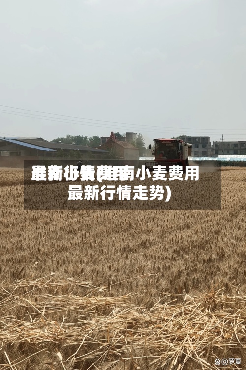准南小麦费用
最新行情(准南小麦费用
最新行情走势)-第2张图片