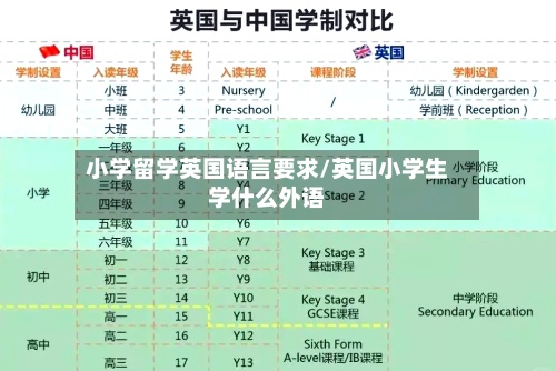 小学留学英国语言要求/英国小学生学什么外语