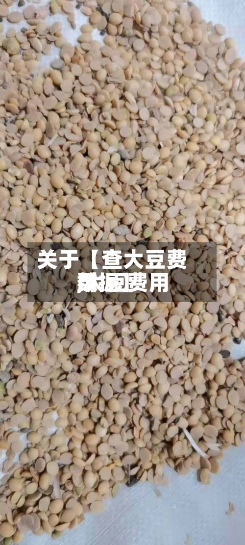 关于【查大豆费用
,大豆费用
数据】-第3张图片