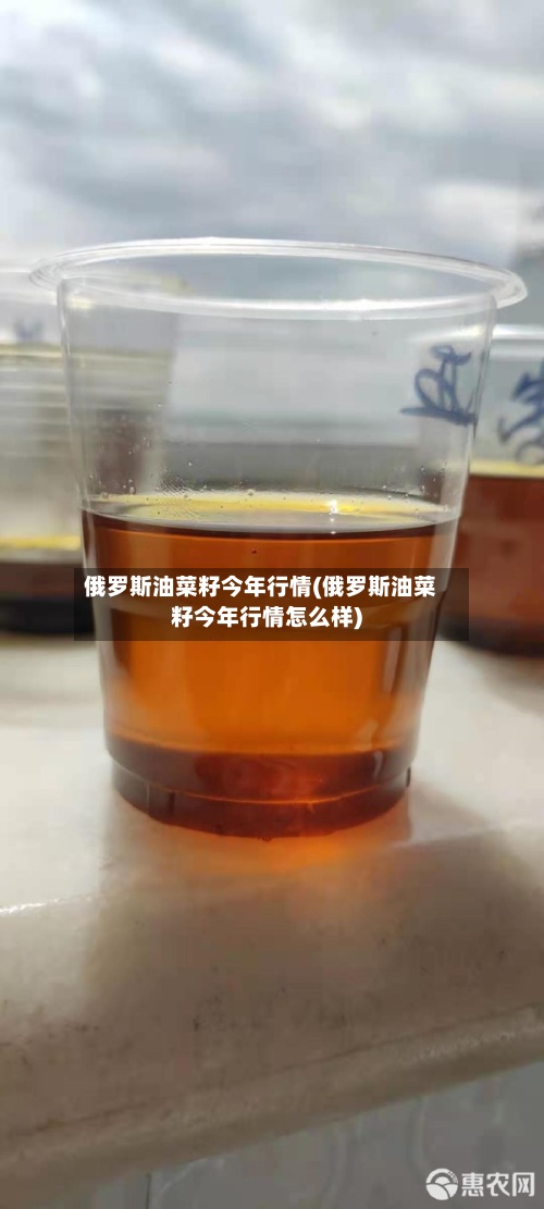 俄罗斯油菜籽今年行情(俄罗斯油菜籽今年行情怎么样)