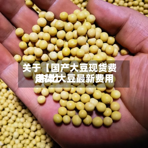 关于【国产大豆现货费用,东北大豆最新费用走势】