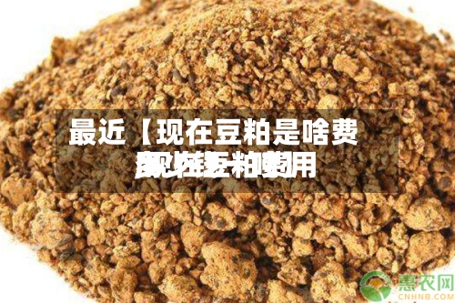 最近【现在豆粕是啥费用
,现在豆粕费用
多少钱一吨】-第3张图片