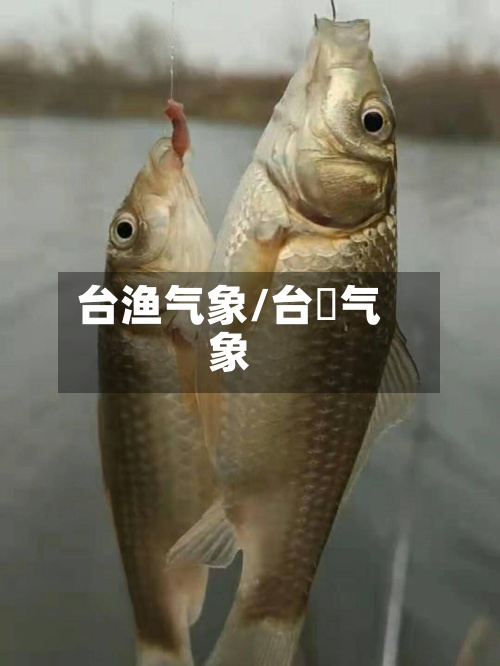 台渔气象/台灣气象-第2张图片