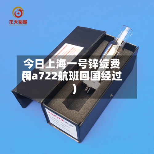 今日上海一号锌绽费用
(ca722航班回国经过)-第3张图片