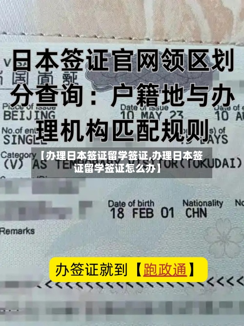 【办理日本签证留学签证,办理日本签证留学签证怎么办】-第2张图片