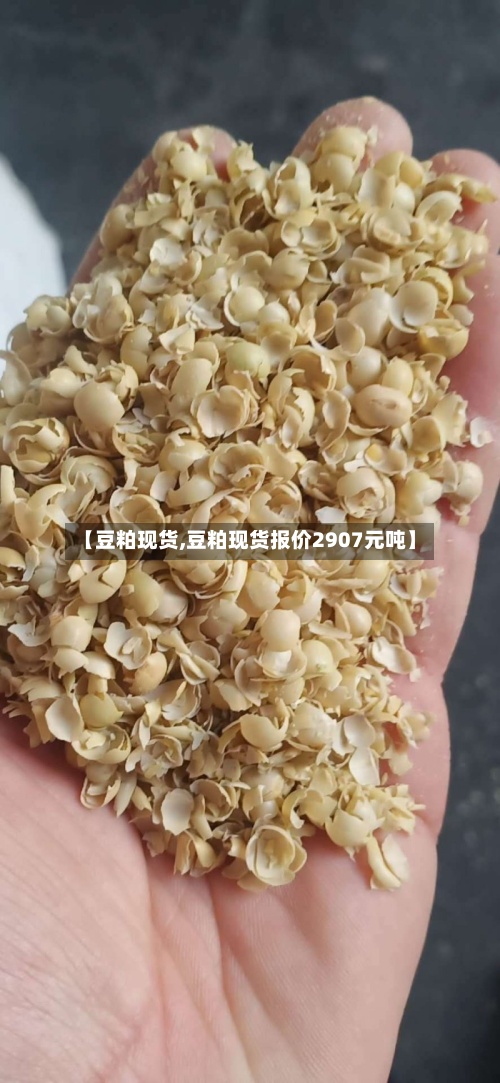 【豆粕现货,豆粕现货报价2907元吨】