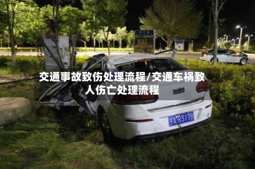 交通事故致伤处理流程/交通车祸致人伤亡处理流程
